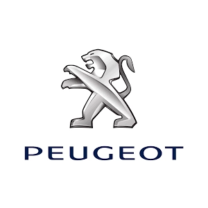 peugeot copy